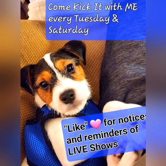 @bethybd GIVEAWAY At LIVE Show Today🎁Plan To Join Us! - Picture 3 of 16